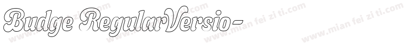 Budge RegularVersio字体转换